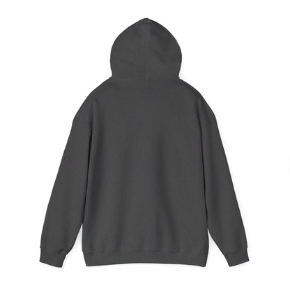 Cozy Unisex Hooded Sweatshirt | Perfect for Layering, Casual Wear, Gifting, and Everyday Comfort