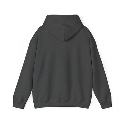 Cozy Unisex Hooded Sweatshirt | Perfect for Layering, Casual Wear, Gifting, and Everyday Comfort